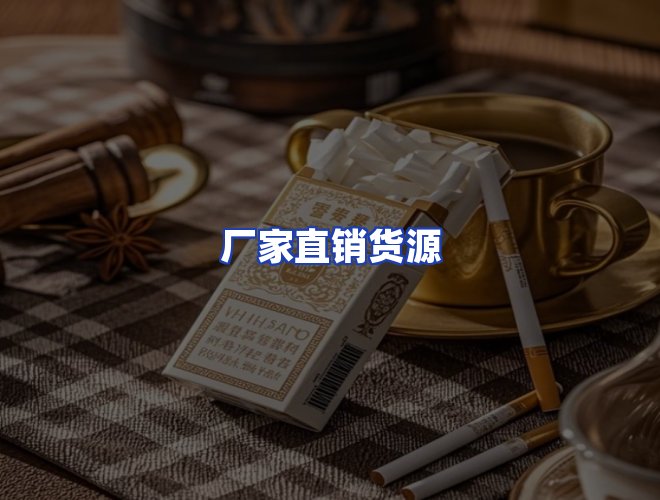 专业团队